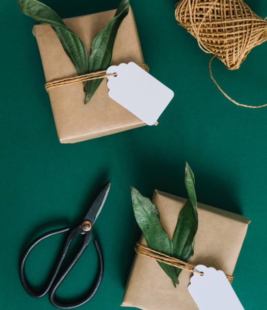 Eco Packaging Collection